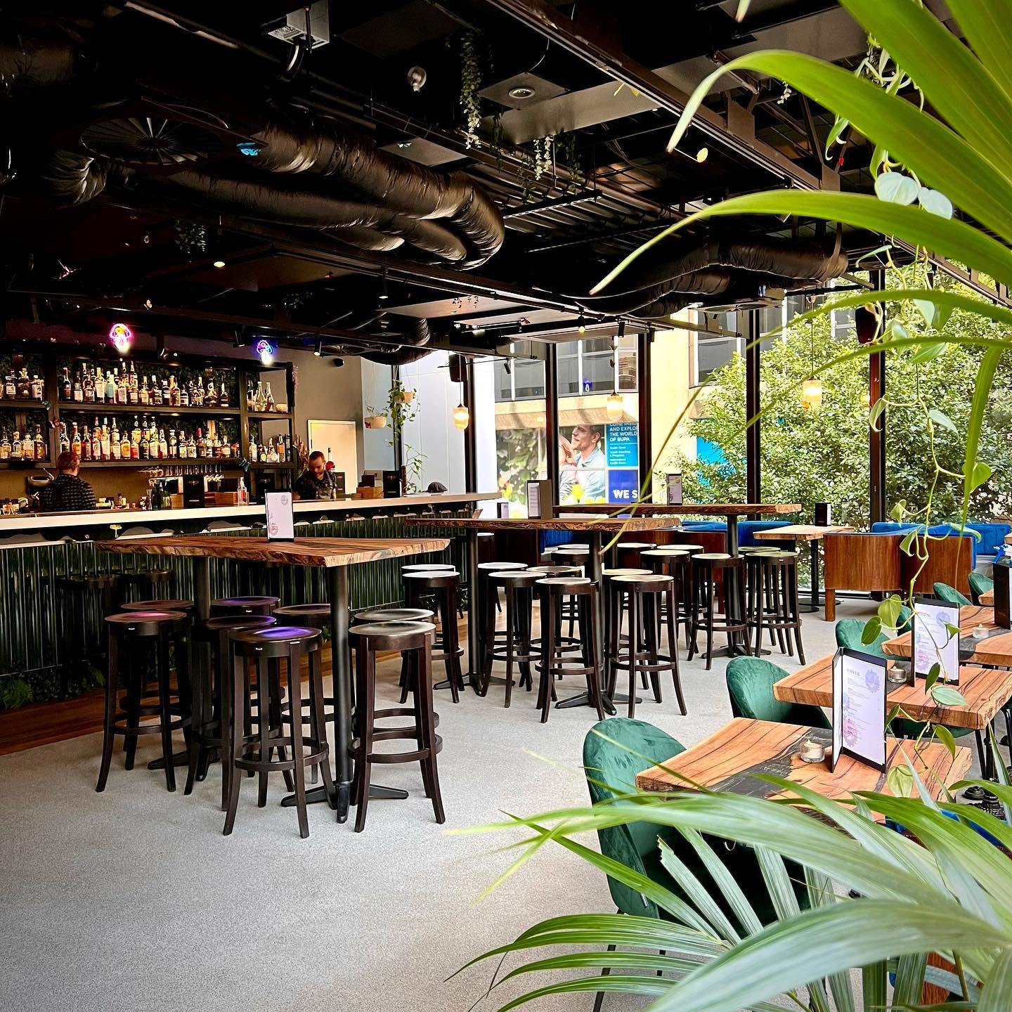 Plateful Perth Terrarium Perth terrarium